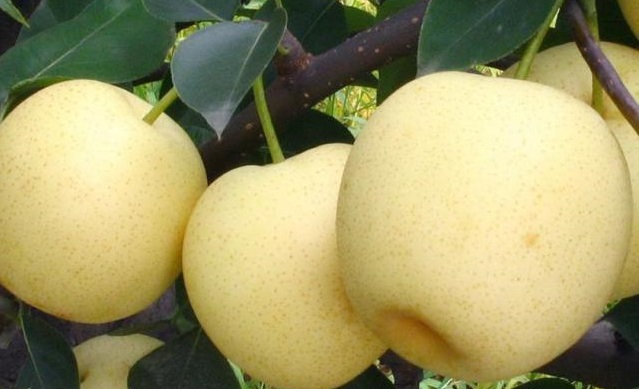 商标转让 商标转让